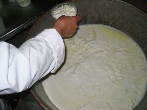 scuola di formaggio-50.JPG